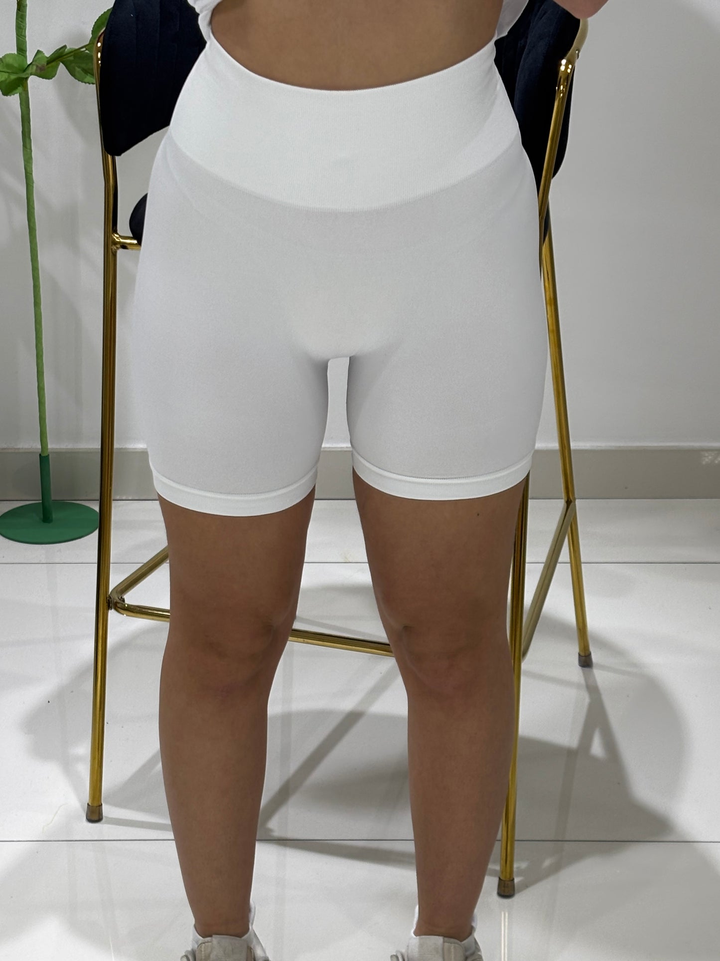 Ciclista Push Up