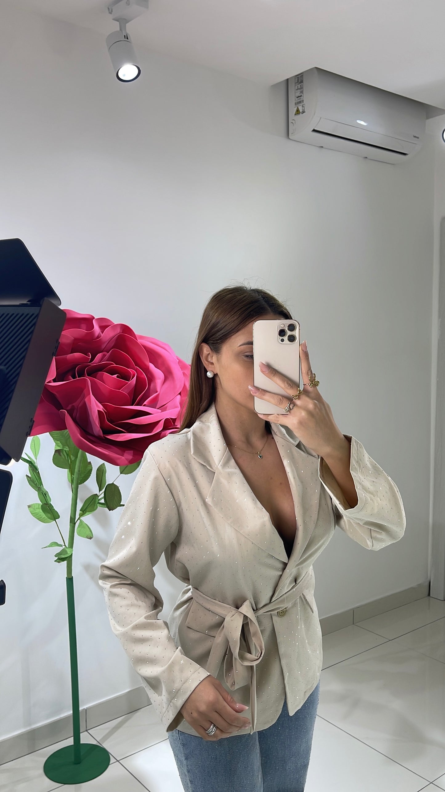 Blazer Classy Stellar