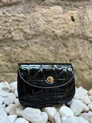 Bag Shiny