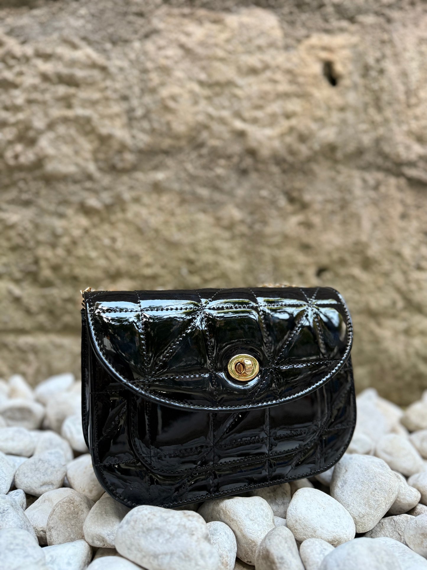 Bag Shiny